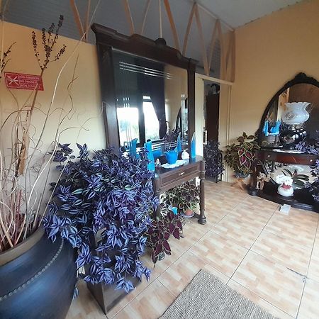 Hotel Gite Cantinho Davo Campea Ngoại thất bức ảnh